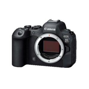 Canon EOS R6 Mark II 單機身(公司貨)台中相機收購